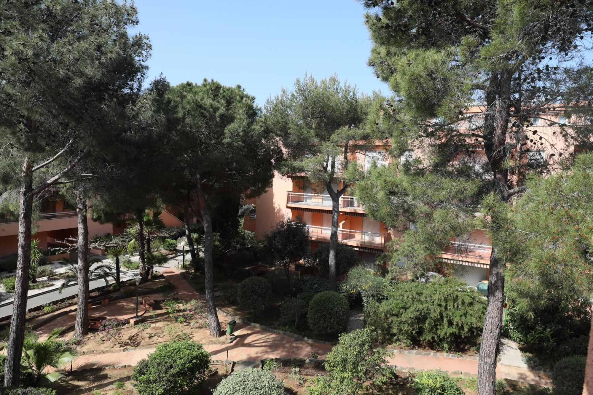 L'Amiraute 150M De La Plage Bormes-les-Mimosas Exterior photo